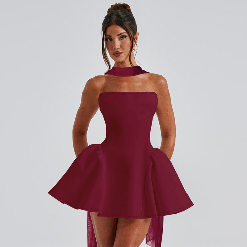 Sexy Back-Zip Tube Dress – Party Style