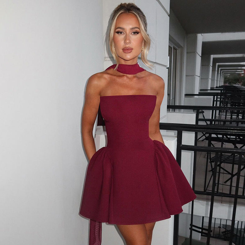 Sexy Back-Zip Tube Dress – Party Style