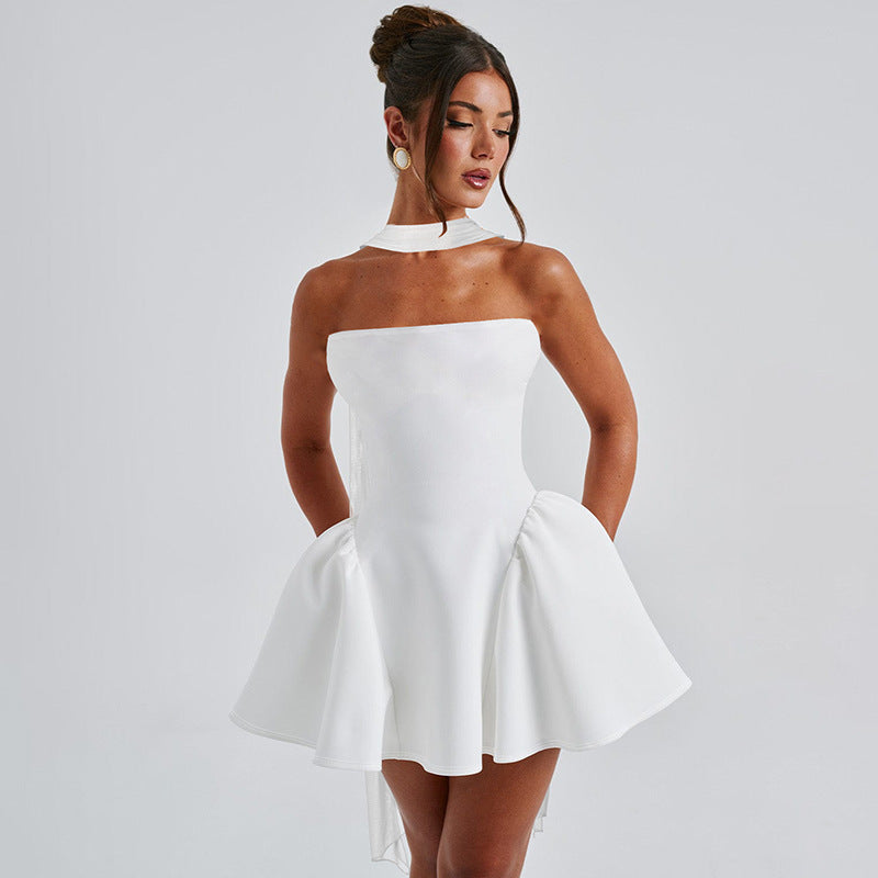 Sexy Back-Zip Tube Dress – Party Style